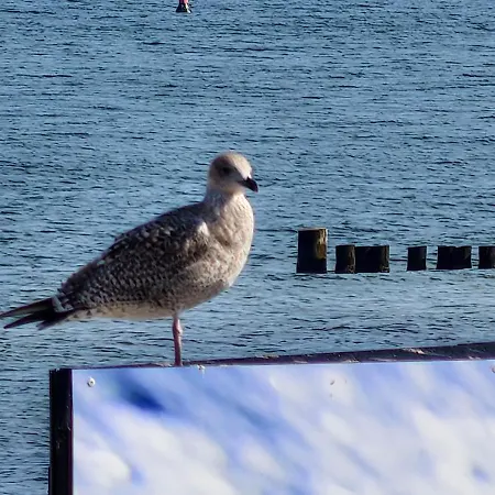 Seemuehl بيت للعطل *